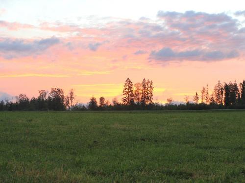 Sonnenuntergang im Wald