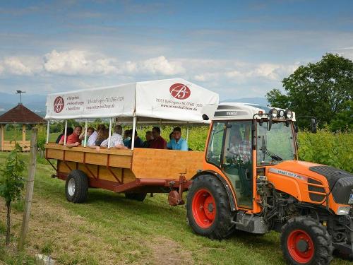 Traktorfahrt mit dem Winzerhof
