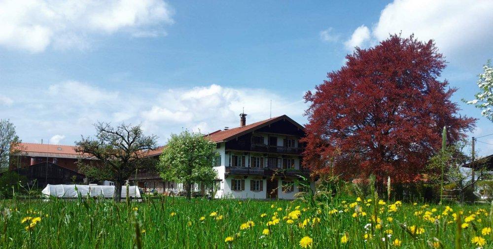 Außenansicht Haupthof Außenansicht Haupthof