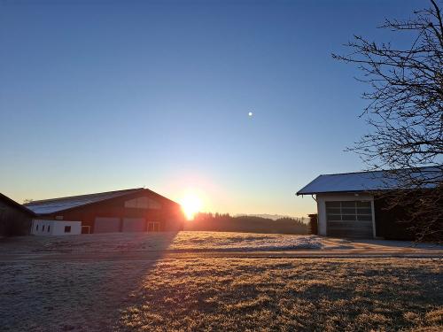 20241229_082504 20241229_082504