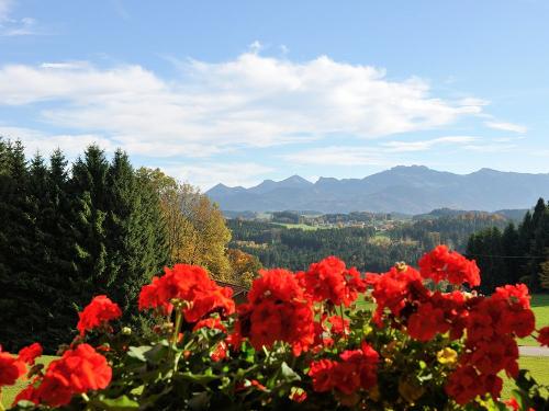 Aussicht