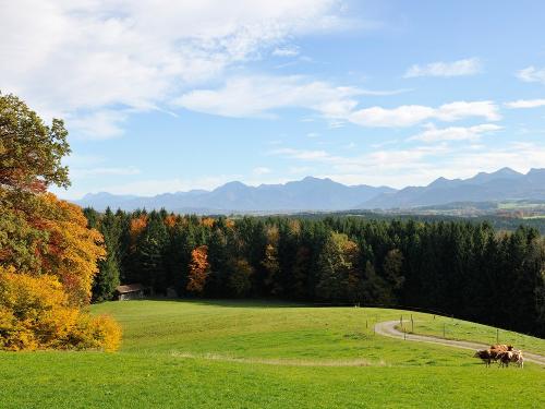 Blick vom Aussichtsturm