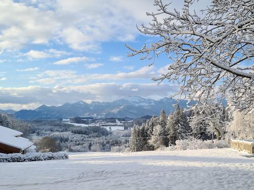 Wintertraum
