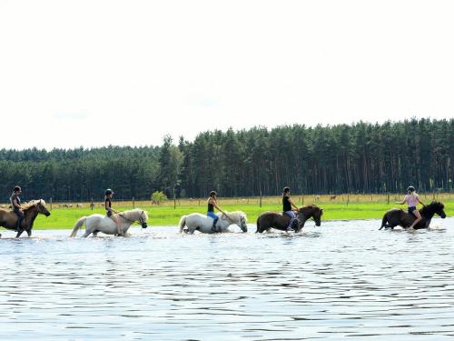 Ausritt im Sommer