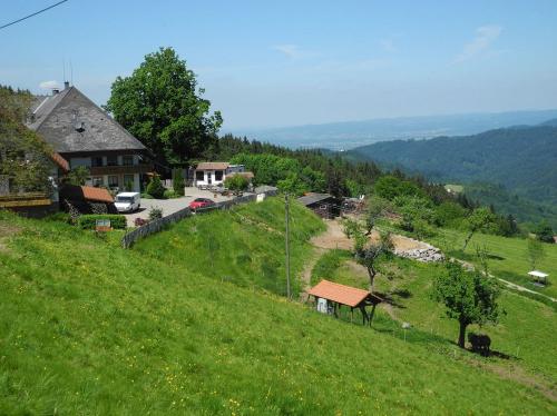 Aussicht vom Eckhof Aussicht vom Eckhof