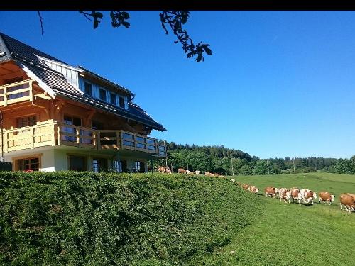 Spaziergang...
