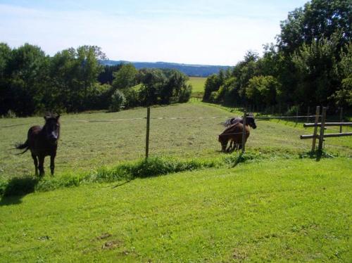 Fischbachhof Fischbachhof