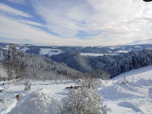 Blick vom Eckpeterhof