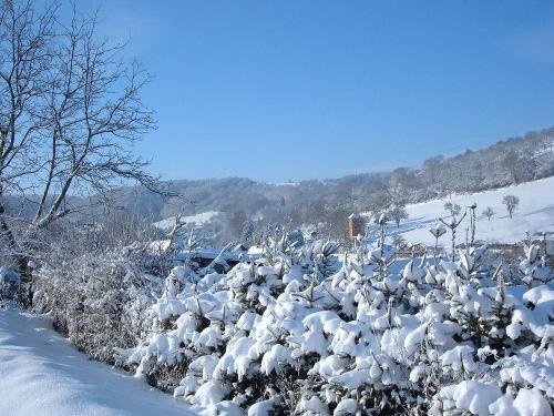 Winter in Langenroda