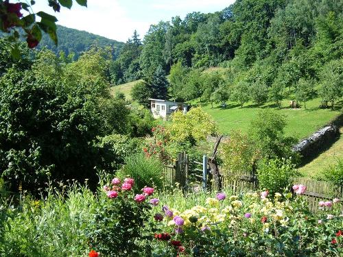 Wolfstal im Sommer