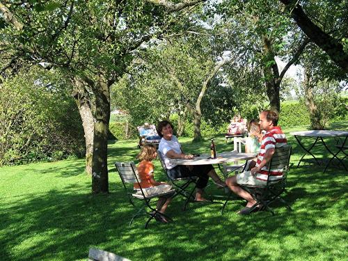 Kaffeeklatsch im Obstgarten