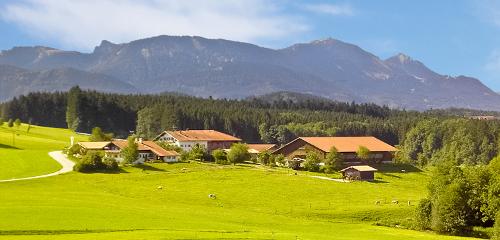 Unser Hof in idyllischer Alleinlage