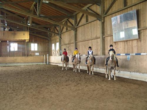 Reitunterricht in unserer großen Reithalle