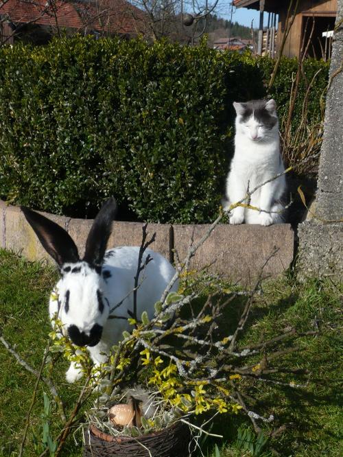 Frohe Ostern