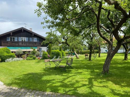 Obstgarten mit Sitz- und Liegegelegenheiten