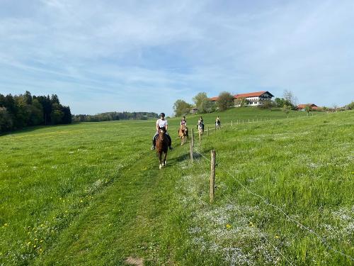 Ein Ausritt in die schöne Umgebung