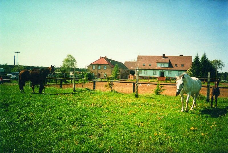 Reiterhof Steindamm Uckermark