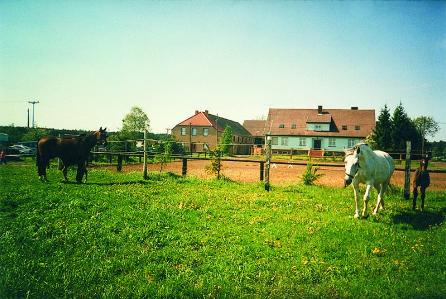 Reiterhof Steindamm Uckermark