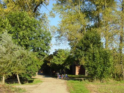Feldweg