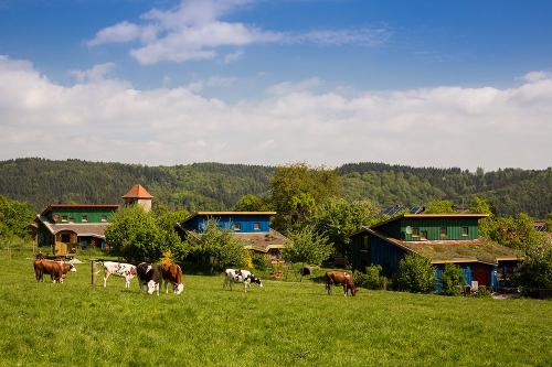 Ferienhäuser mit Weide
