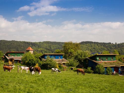 Ferienhäuser mit Weide