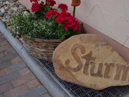 Sturm