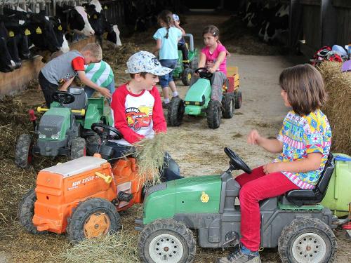 Mit den Trettraktoren im Stall helfen