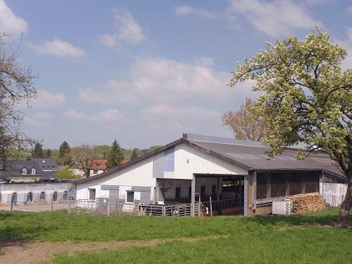 Kuhstall mit Kälberhütten