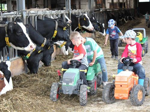 Mit den Trettraktoren im Stall helfen