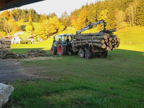 forstarbeiten