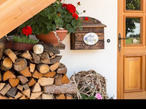 wirhabenholzvordrhttn