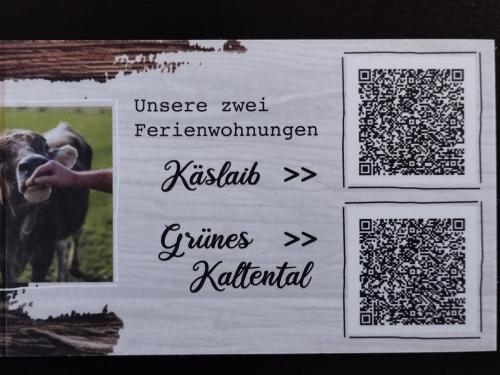 Weitere Bilder beider Wohnungen &Bewertungsportal