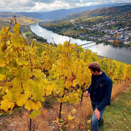 Weinberge im Herbst
