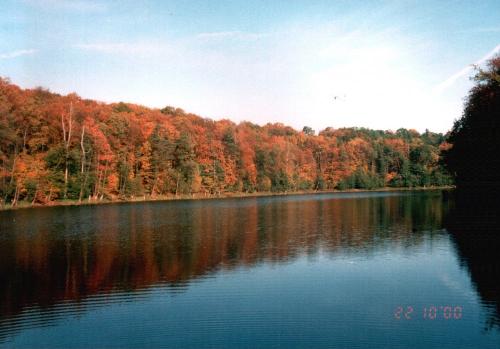Herbststimmung am Langersee