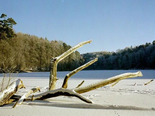 Behringhof im Winter