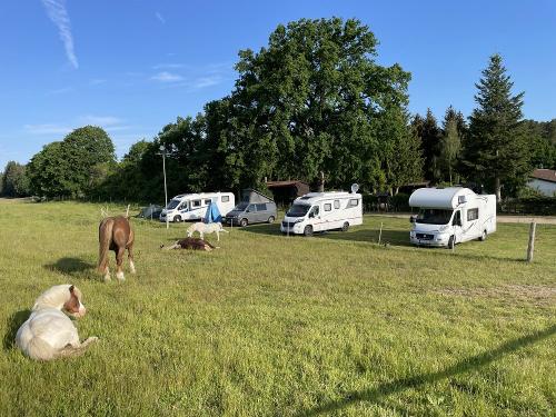Wohnmobilstellplatz an der Frühlingskoppel