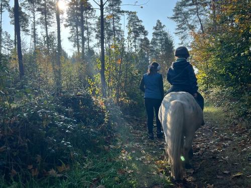 Spaziergang mit dem Pony durch die Natur