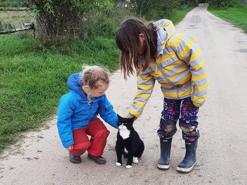 Tiere hautnah erleben