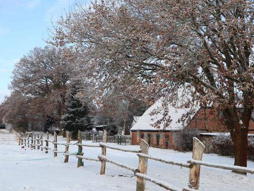 Waldhof Bruchmühle im Winter