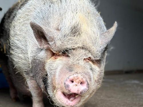 WhatsApp Bild 2025-11-23 um 16-59-21_88542191