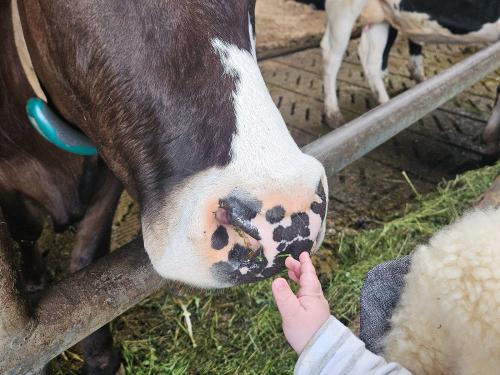 20250602_164258 - Kopie