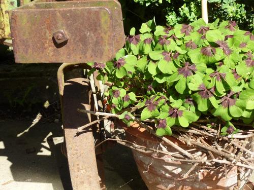 Garten Deko