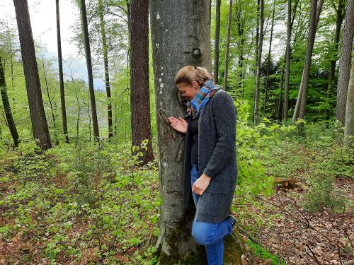 Waldbaden_Erholung für Körper und Geist