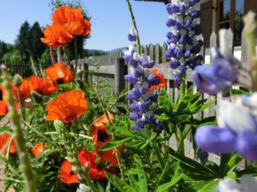 impressionen_2