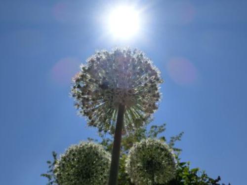 impressionen_1