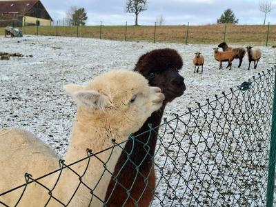 Wir warten auf unsere Gäste