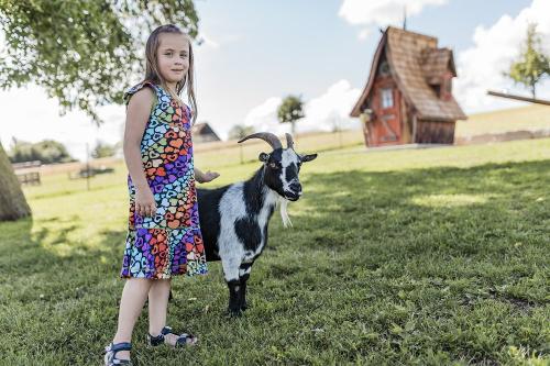 Steicheleinheiten mit Ziege Vroni