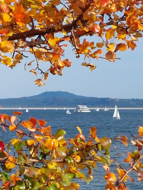 Herbst