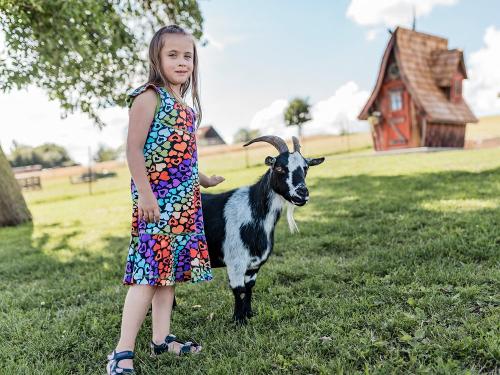 Steicheleinheiten mit Ziege Vroni