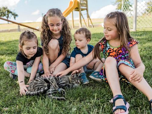Unser Kater Toni genießt die Streicheleinheit